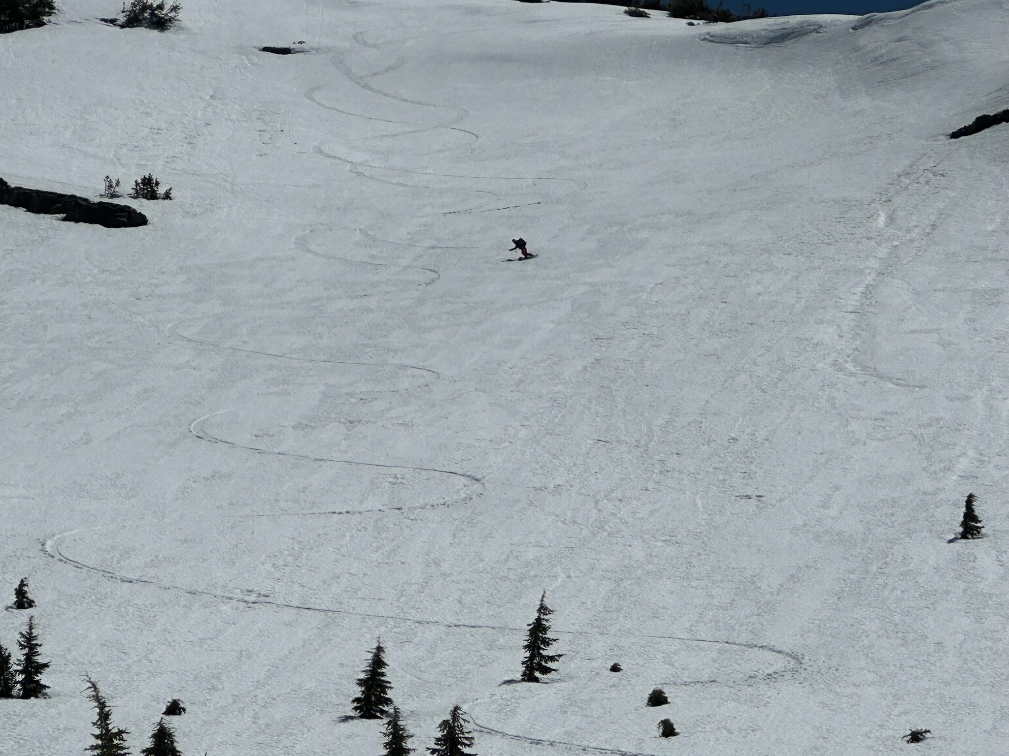 Matthew Davenport split-boarding on Mt Thielsen in Central Oregon